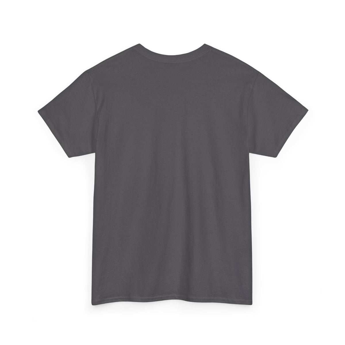 Dinosaurs are Dragons Unisex Heavy Cotton Tee