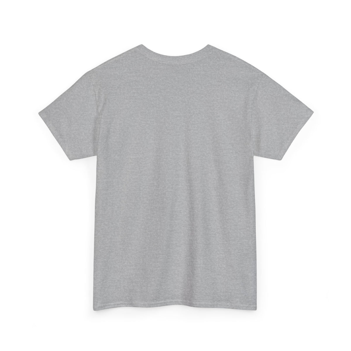 Dinosaurs are Dragons Unisex Heavy Cotton Tee